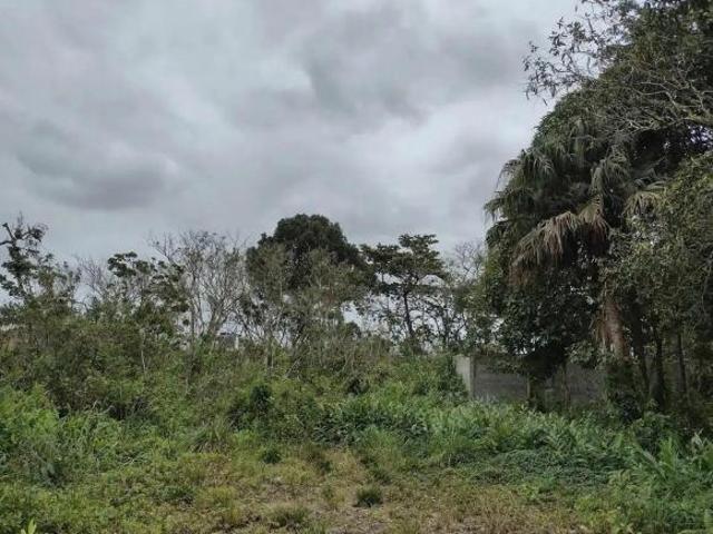 Terreno venda em Região Imediata de Santos, Região Metropolitana da Baixada Santista