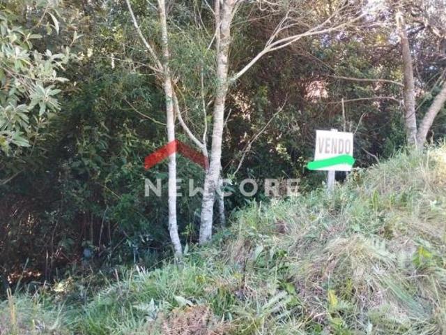 Terreno venda em Região Geográfica Imediata de Caxias do Sul, São Francisco de Paula