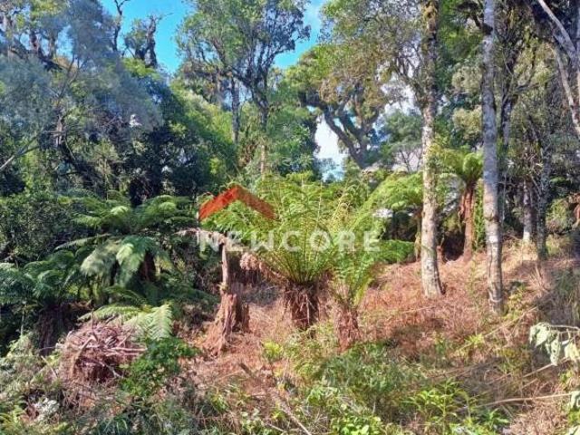 Terreno venda em Região Geográfica Imediata de Caxias do Sul, Gramado