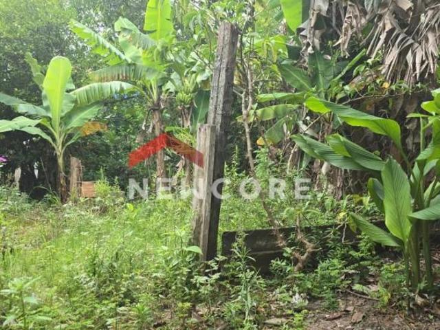 Terreno venda em Região Geográfica Imediata de Currais Novos, Região Nordeste