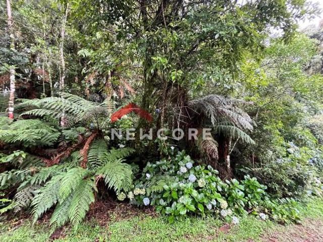Terreno venda em Região Geográfica Imediata de Caxias do Sul, São Francisco de Paula