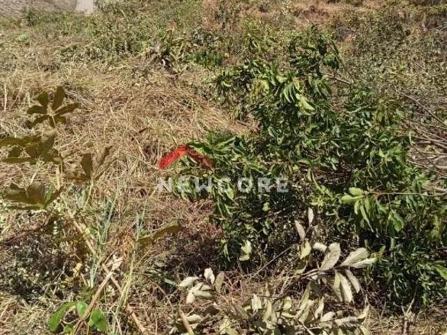 Terreno venda em Região Geográfica Imediata de Juiz de Fora, Juiz de Fora