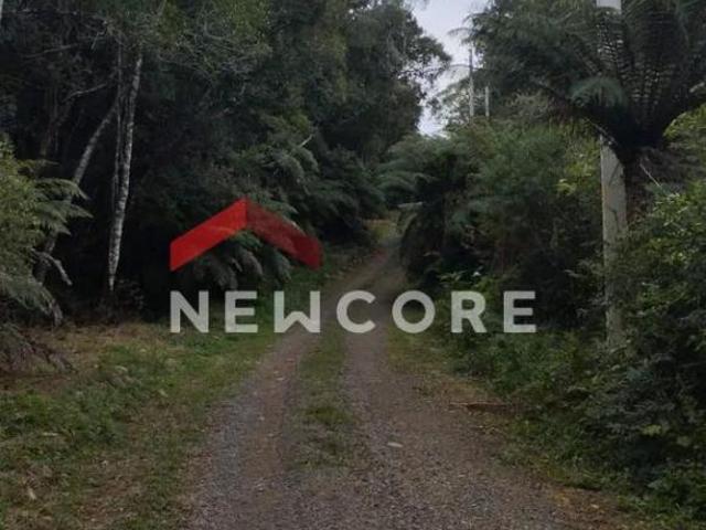 Terreno venda em Região Geográfica Imediata de Caxias do Sul, Caxias do Sul