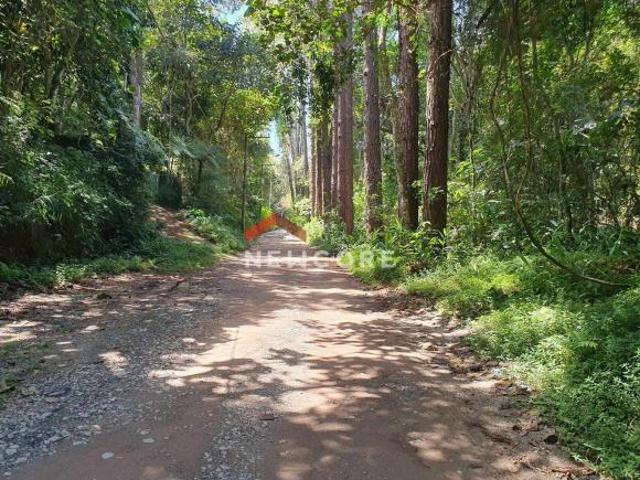 Terreno venda em Região Geográfica Imediata de Itajaí, Balneario Camboriú