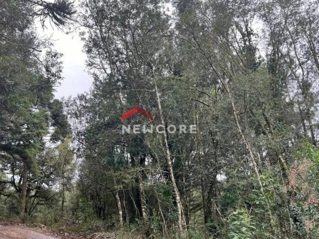 Terreno venda em Região Geográfica Imediata de Caxias do Sul, São Francisco de Paula