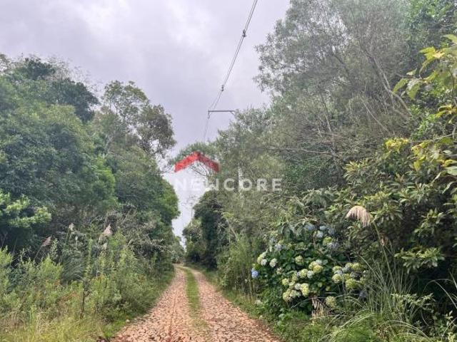 Terreno venda em Região Geográfica Imediata de Caxias do Sul, São Francisco de Paula