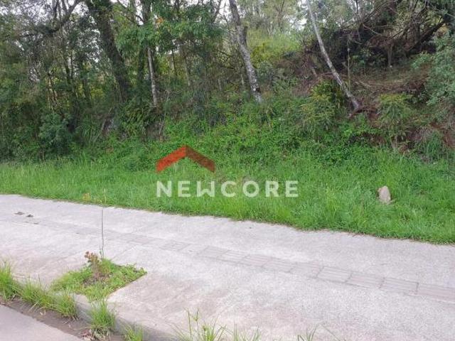 Terreno venda em Região Geográfica Imediata de Caxias do Sul, Canela