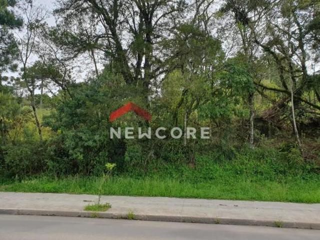 Terreno venda em Região Geográfica Imediata de Caxias do Sul, Canela