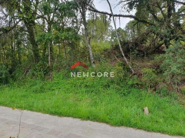 Terreno venda em Região Geográfica Imediata de Caxias do Sul, Canela