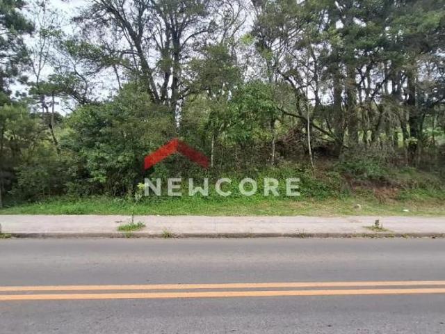 Terreno venda em Região Geográfica Imediata de Caxias do Sul, Canela