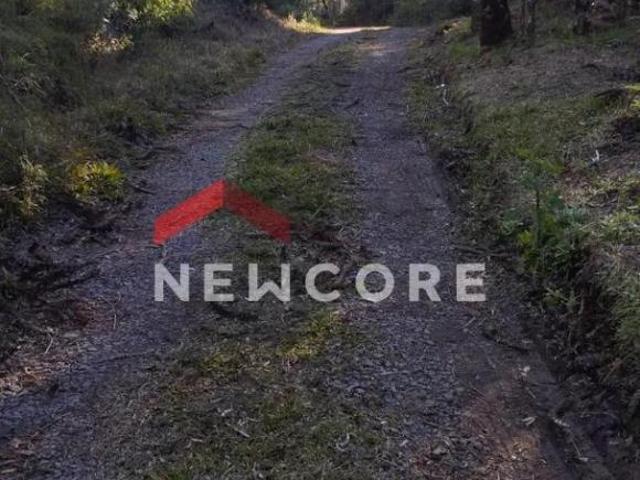 Terreno venda em Região Geográfica Imediata de Caxias do Sul, São Francisco de Paula
