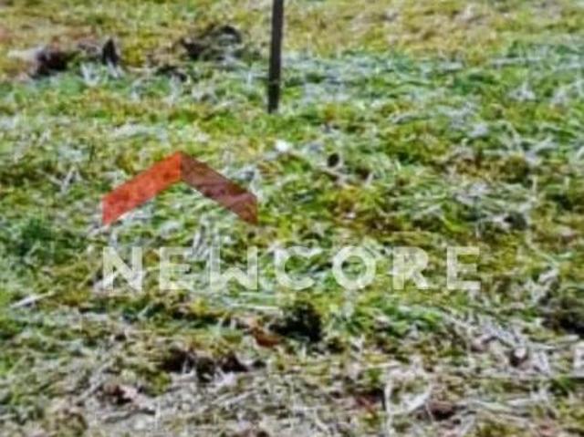 Terreno venda em Região Geográfica Imediata de Maringá, Maringá