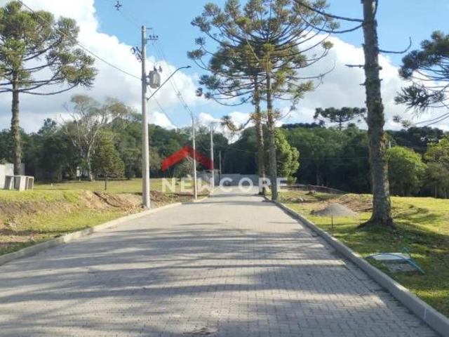 Terreno venda em Região Geográfica Imediata de Caxias do Sul, São Francisco de Paula