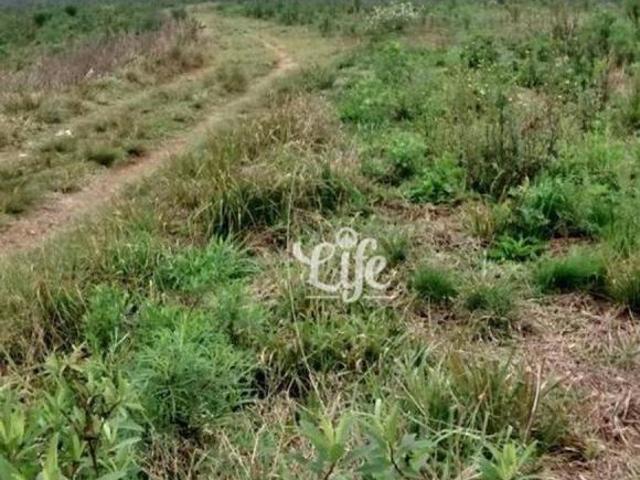 Terreno venda em Região Geográfica Imediata de Curitiba, Região Metropolitana de Curitiba