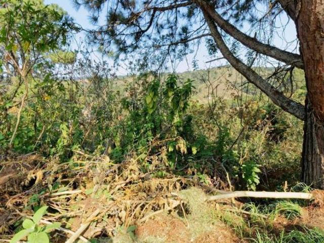 Terreno venda em Região Imediata de Taubaté-Pindamonhangaba, Região Metropolitana do Vale do Paraíba e Litoral Norte