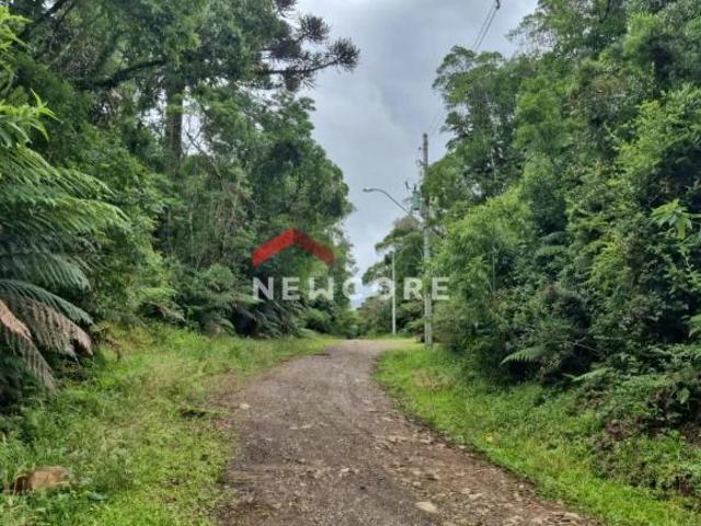 Terreno venda em Região Geográfica Imediata de Caxias do Sul, São Francisco de Paula