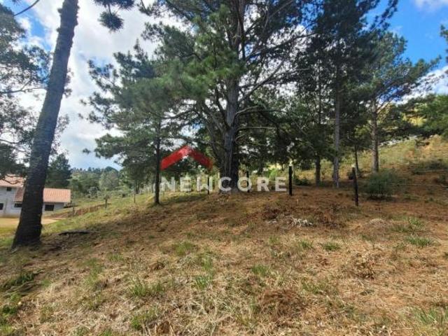 Terreno venda em Região Imediata de Taubaté-Pindamonhangaba, Região Metropolitana do Vale do Paraíba e Litoral Norte