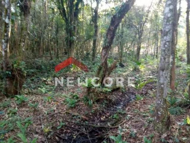 Terreno venda em Região Imediata de Santos, Região Metropolitana da Baixada Santista
