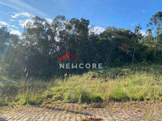 Terreno venda em Região Geográfica Imediata de Caxias do Sul, Caxias do Sul