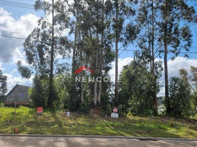 Terreno venda em Região Geográfica Imediata de Caxias do Sul, Canela