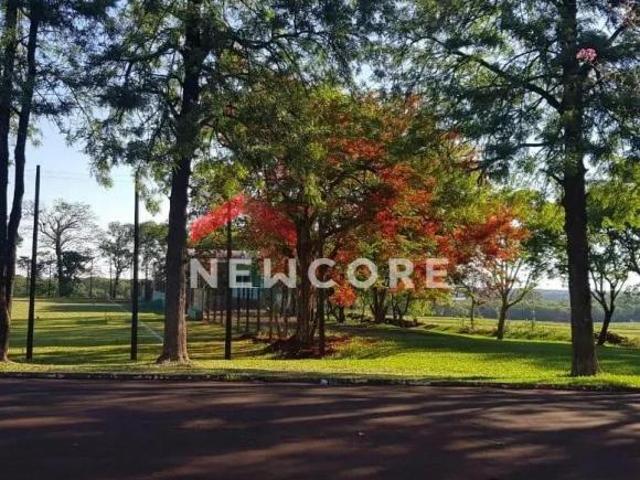 Terreno venda em Região Geográfica Imediata de Foz do Iguaçu, Itaipulândia
