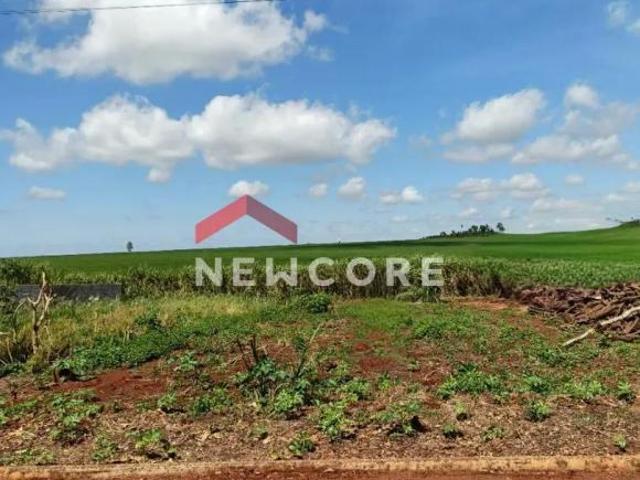 Terreno venda em Região Geográfica Imediata de Foz do Iguaçu, São Miguel do Iguaçu