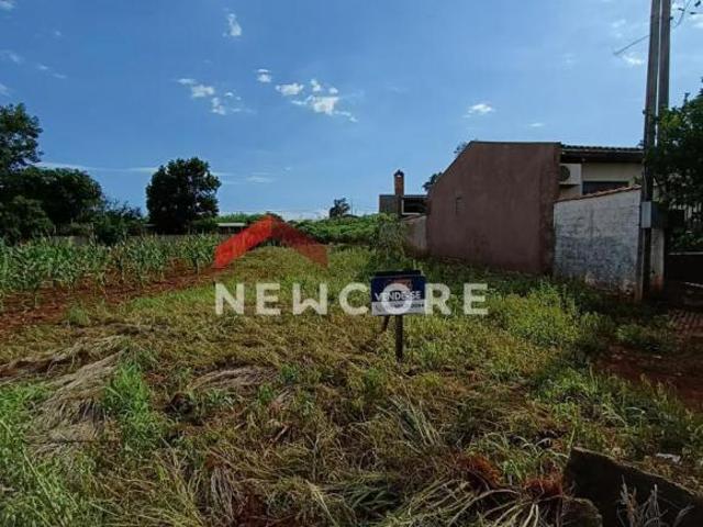Terreno venda em Região Geográfica Imediata de Foz do Iguaçu, São Miguel do Iguaçu