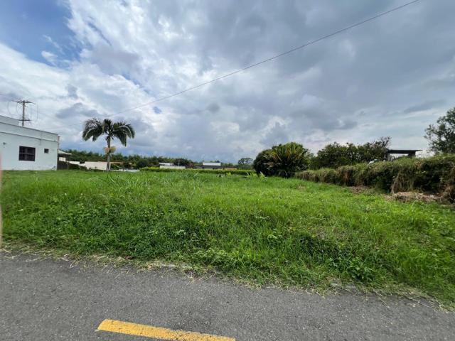 Lote En Arriendo En Armenia En. A212793