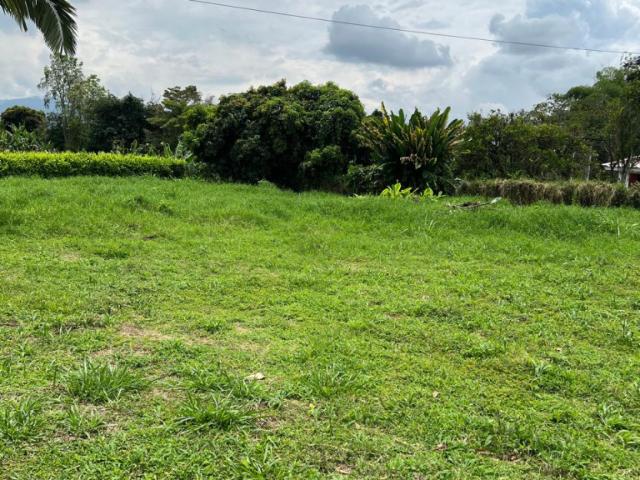 Lote En Arriendo En Armenia En. A212793