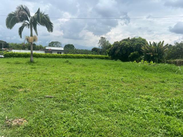 Lote En Arriendo En Armenia En. A212793