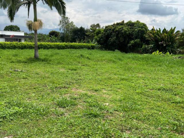 Lote En Arriendo En Armenia En. A212793