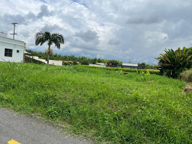 Lote En Arriendo En Armenia En. A212793