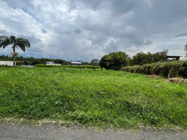 Lote En Arriendo En Armenia En. A212793