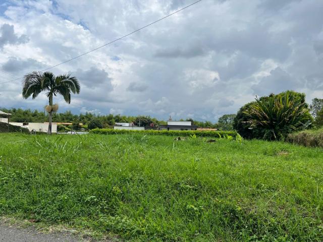 Lote En Arriendo En Armenia En. A212793