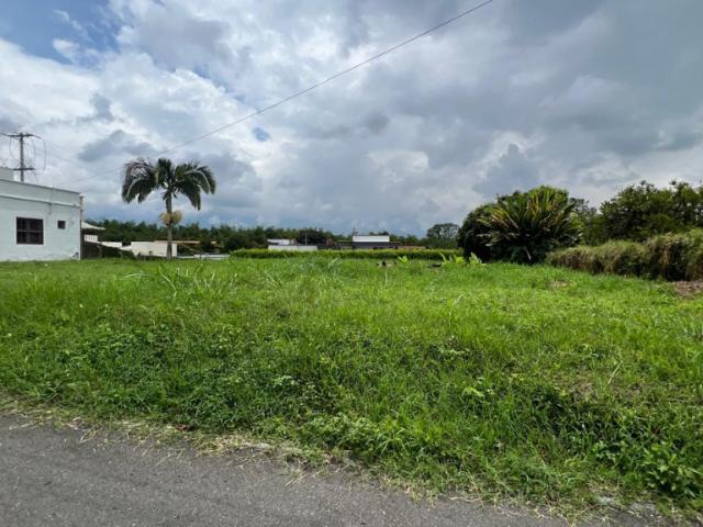 Lote En Arriendo En Armenia En. A212793