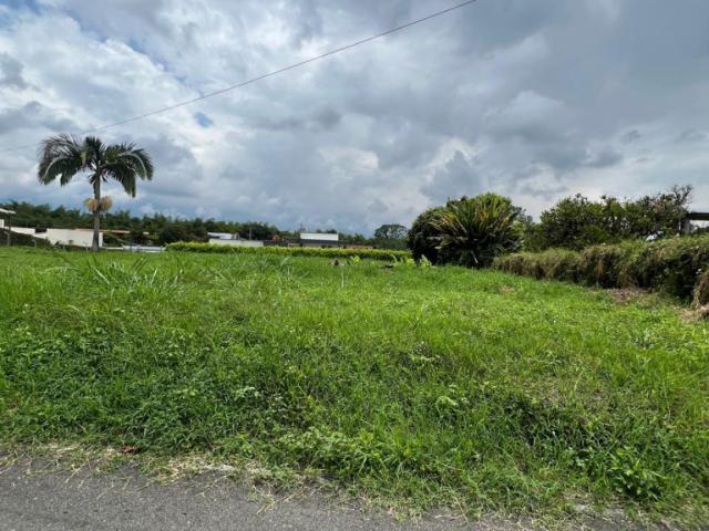 Lote En Arriendo En Armenia En. A212793