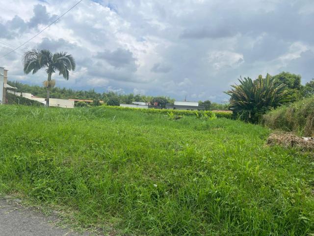 Lote En Arriendo En Armenia En. A212793
