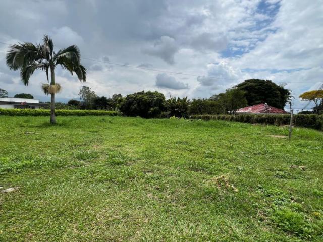 Lote En Arriendo En Armenia En. A212793
