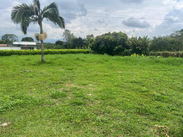 Lote En Arriendo En Armenia En. A212793