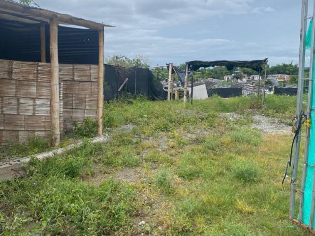 Lote en arriendo en Quindío