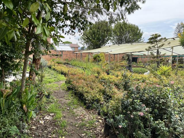 Lote En Arriendo En Bogota En San Jose De Bavaria A359979