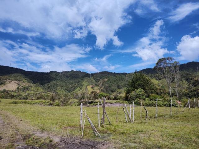 Lote en arriendo en Antioquia, Guatapé