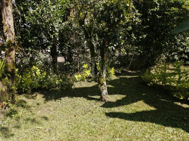 Lote En Arriendo En La Vega En Vereda Centro A274439