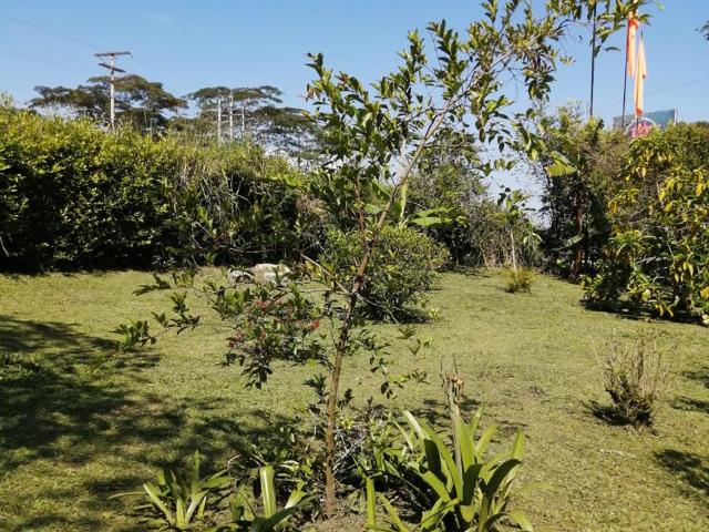 Lote En Arriendo En La Vega En Vereda Centro A274439