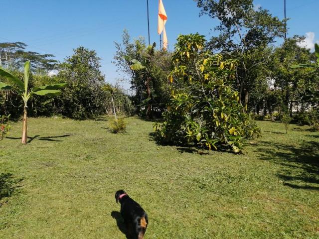 Lote En Arriendo En La Vega En Vereda Centro A274439