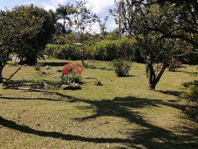 Lote En Arriendo En La Vega En Vereda Centro A274439