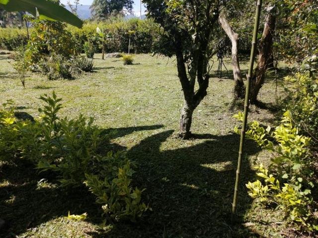 Lote En Arriendo En La Vega En Vereda Centro A274439