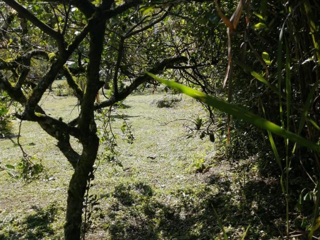 Lote En Arriendo En La Vega En Vereda Centro A274439