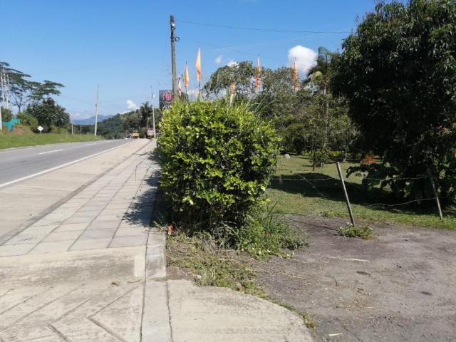 Lote En Arriendo En La Vega En Vereda Centro A274439