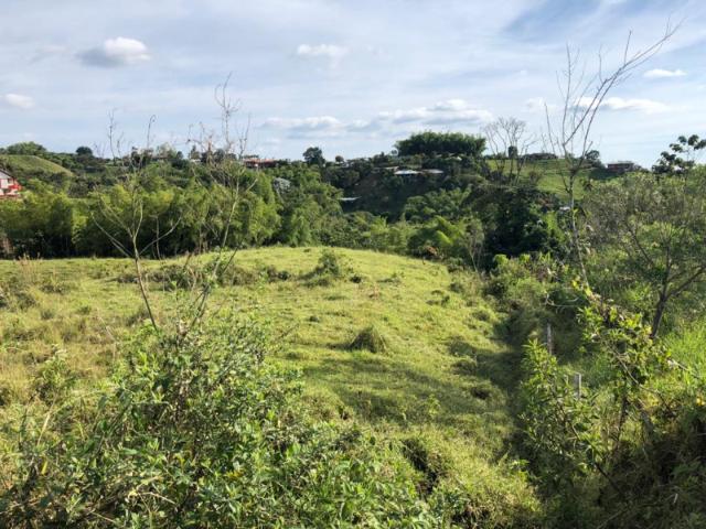 Lote En Arriendo En Pereira A93511